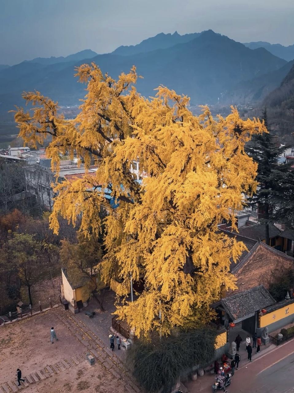秦岭山景